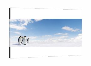 Penguin panorama
