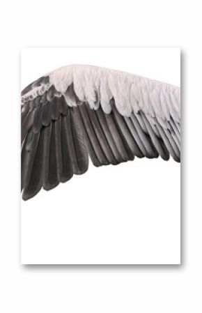 Bird wing cutout