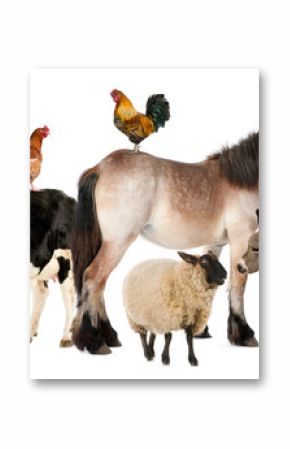 Variety of farm animals in front of white background