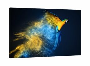Flying Ara parrot over colourful powder explosion