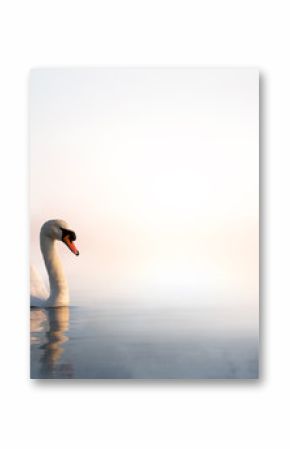 Art beautiful landscape with a swan floating on the lake