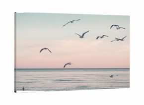 Large group flock of seagulls on sea lake water and flying in sky on summer sunset, toned with instagram retro hipster filters, film effect