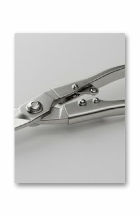Professional Metal Shears - Precision Cutting Tool