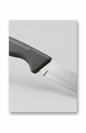 Sharp Fixed Blade Knife with Ergonomic Gray Handle - 3D Render