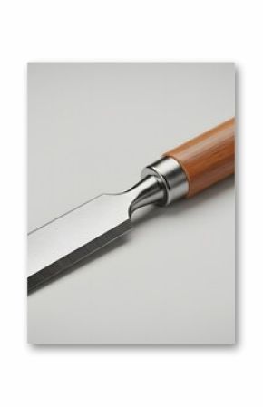 Wood Chisel with Wooden Handle - Carpentry Tool, 3D Render