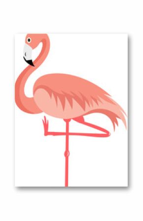 Flat vector flamingo is floating on transparent background, showing curved neck and coral plumage