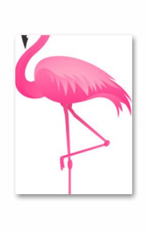 Stylized pink flamingo is balancing on one leg in flat design, transparent background