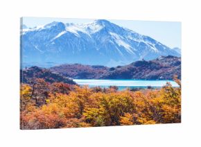 Autumn in Patagonia