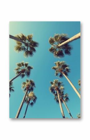 Palm Trees Against a Bright Blue Sky Viewed from Below in Sunny Day, Exotic Summer Vacation