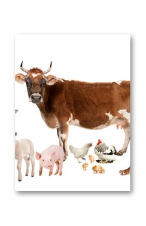 group of farm animals : cow, sheep, horse, donkey, chicken, lamb