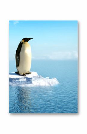 single penguin on a piece of ice