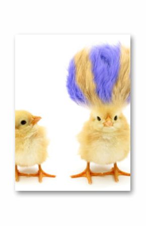 Two chicks one crazy with even crazier hair