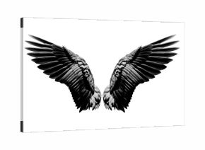Angel wings, Natural black wing plumage isolated on white background with clipping part