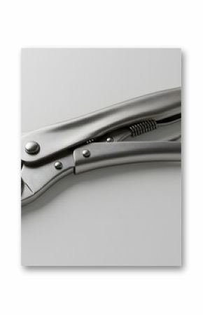 Professional Locking Pliers, Silver Metal Grip Tool, 3D Render