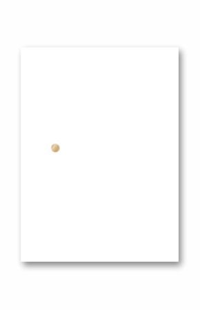 Stylized white dove holding olive branch is flying in flat vector design, transparent background