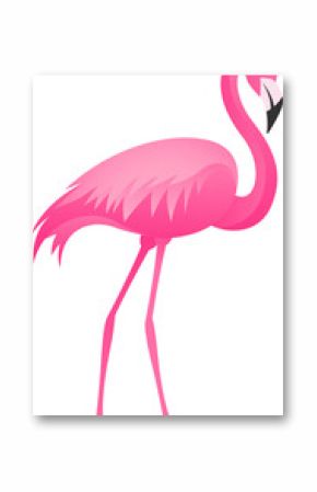 Stylized flamingo is standing in profile with curved neck and slender legs, transparent background