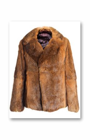 Female coat made of rabbit fur   Isolated