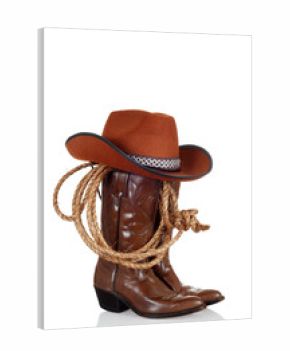 cowboy boots with hat and a lasso