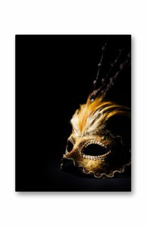 Venetian Mask