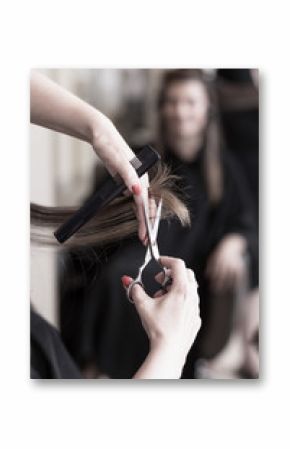 Hairdresser cutting hair
