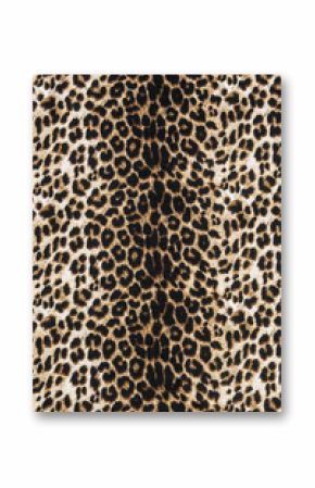 wild animal pattern background or texture