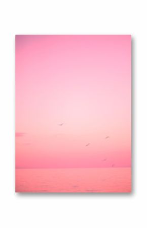 Beautiful pink sunset and the sea with birds seagulls. The concept of fashion colors