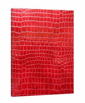 Red crocodile leather