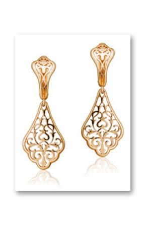 fashion women's earrings in gold.