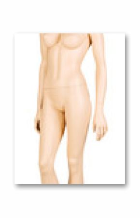 Clothing mannequin isolated on the white