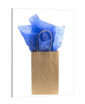 Single Giftbag on a White Background