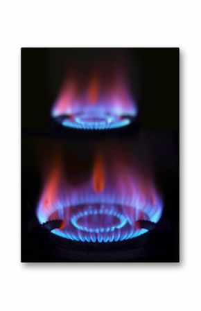 close up of blue gas flames
