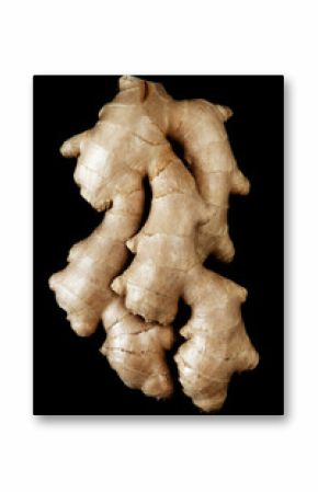 Fresh ginger root