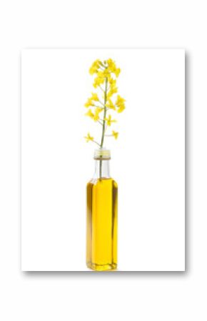 Rapeseed flower and canola oil in a bottle