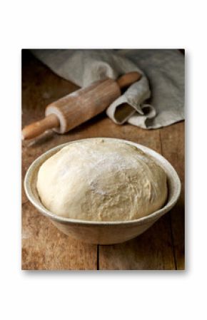 bowl of fresh raw dough