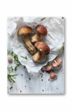 organic porcini Mushroom  seasoning forest Mushroom and Italian Spices Herb