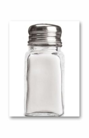 Salt Shaker