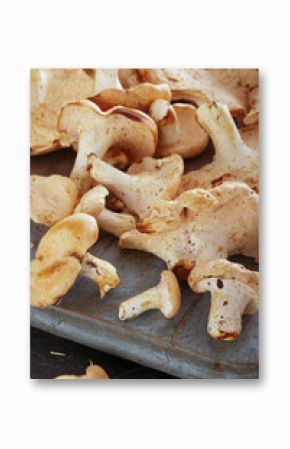 fresh uncooked mushrooms