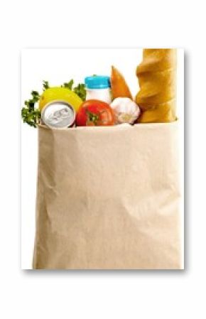 Paper grocery bag