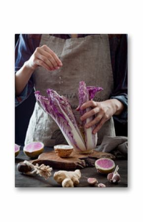 Cabbage and watermelon radish kimchi ingredients. Woman salting purple cabbage for kimchi recipe. Fermented and vegetarian probiotic food for gut health