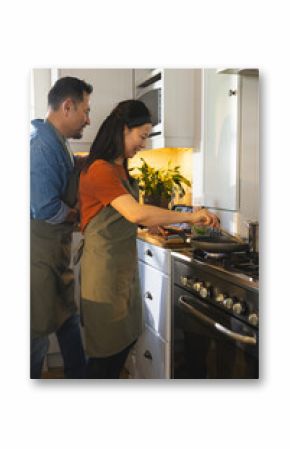 Mature couple cooking together in kitchen, enjoying quality time and preparing meal