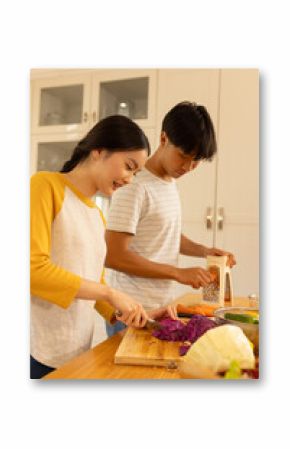 chopping vegetables asian brother and sister preparing meal together in kitchen