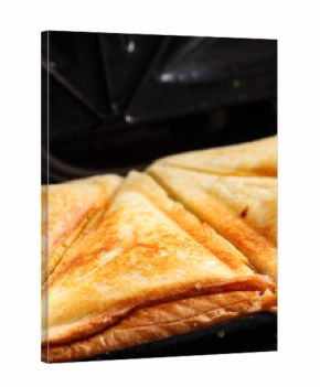 Toasted cheese sandwich grill / Toasted cheese sandwich on an electric sandwich maker