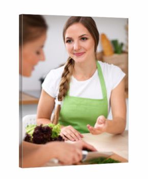Two women is  cooking in a kitchen. Friends having a pleasure talk while preparing and tasting salad. Friends Chef Cook concept