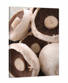 fresh uncooked mushrooms