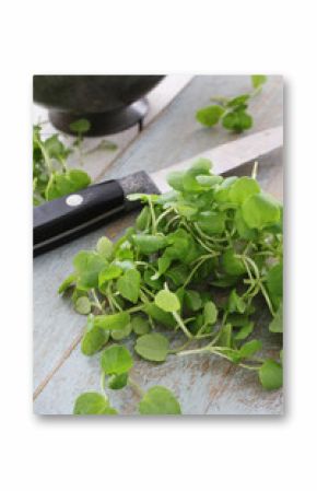 fresh salad leaves