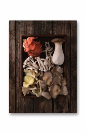 fresh uncooked mushrooms