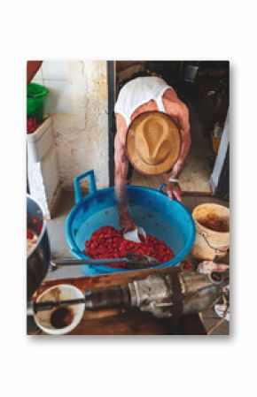 Making of tomato sauce