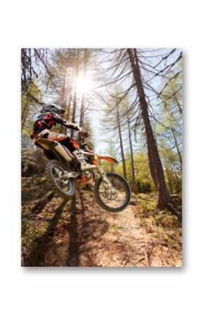 motocross fra gli alberi