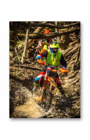 A motocross rider passes under a fallen tree on a crosscountry race