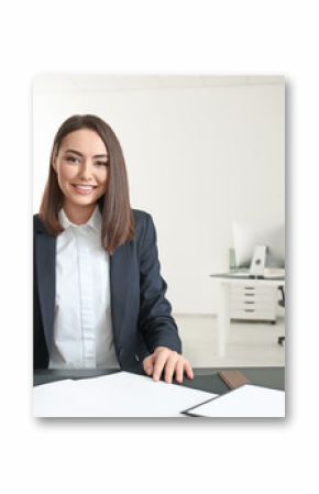 Attractive young lawyer in office